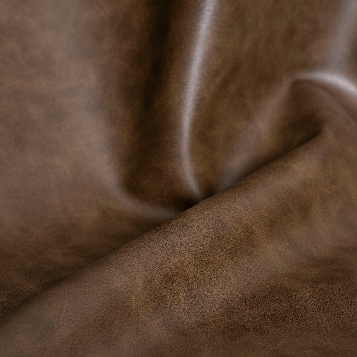 #renk_roasted coffee