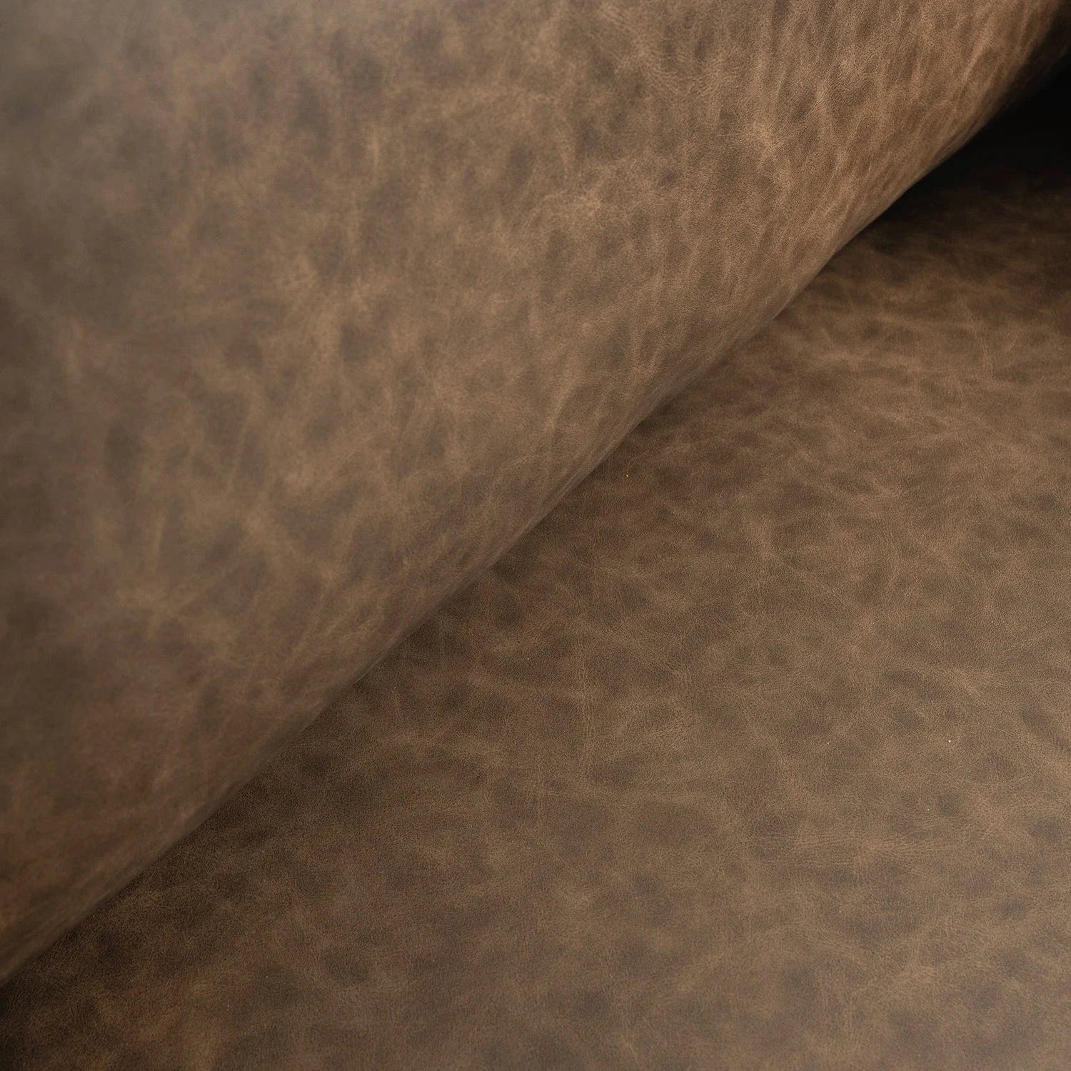 #renk_roasted coffee