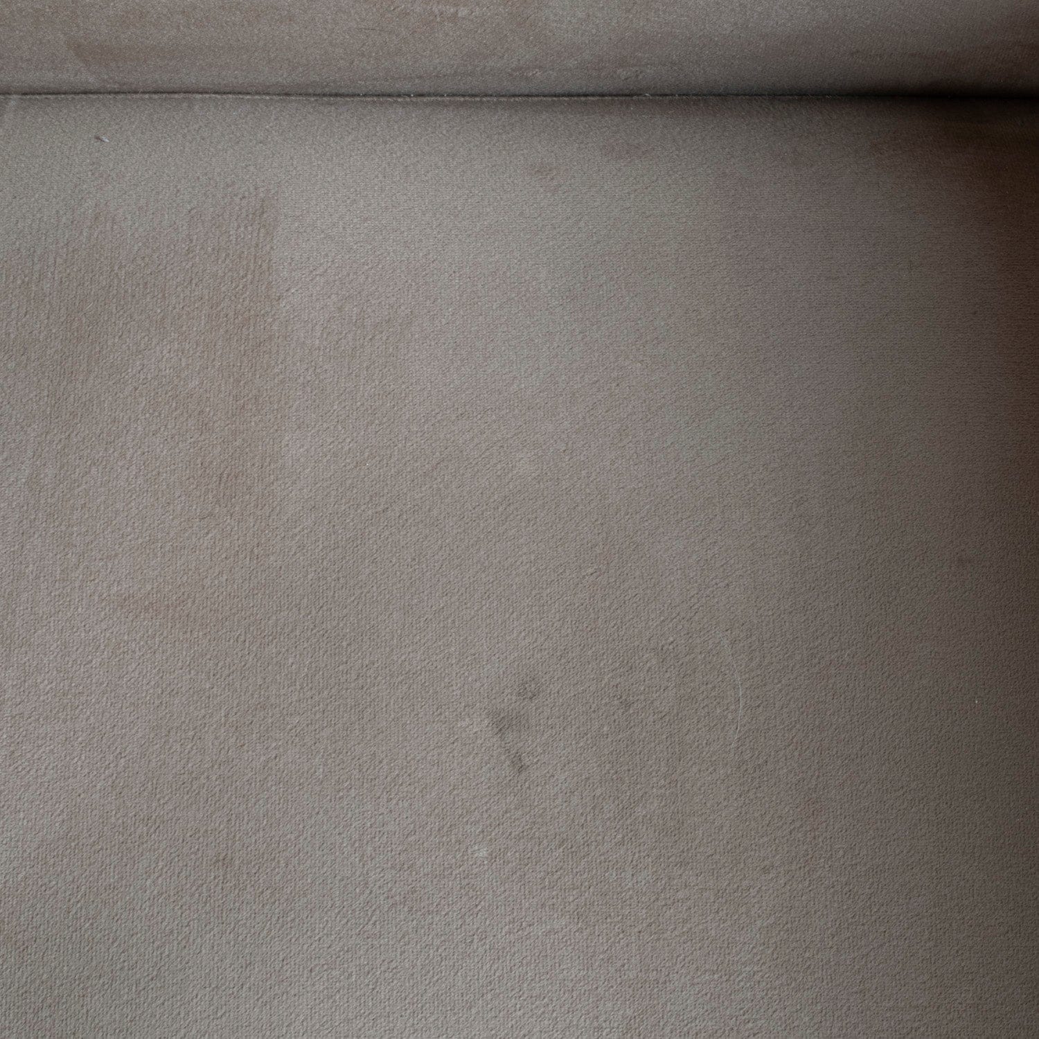 Neomi Berjer Kadife Vizon 0352