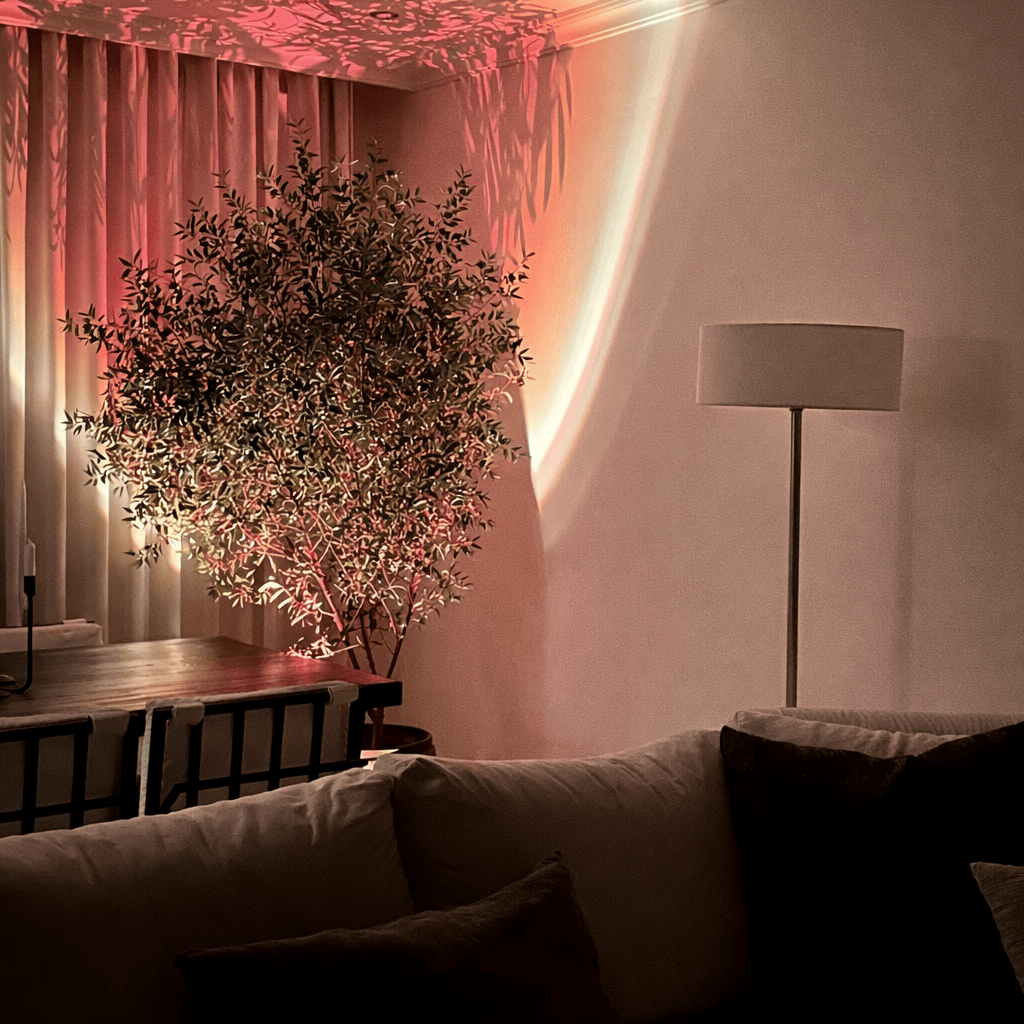 The Olive Tree